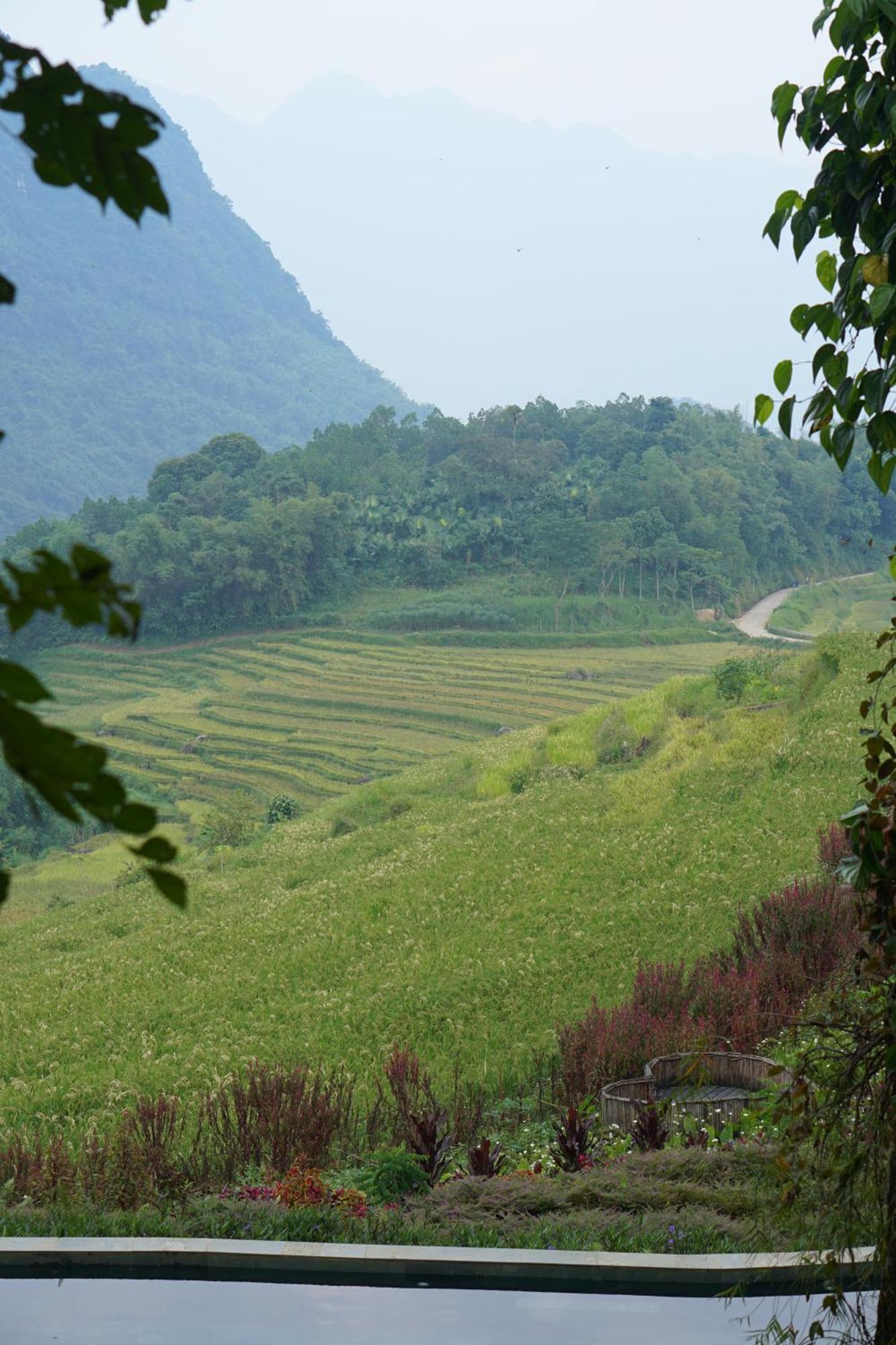 浦项自然小屋 Pu Luong 外观 照片